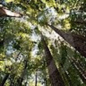 Meet your Posher, Ariel